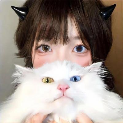 女作家与谋杀案第十季